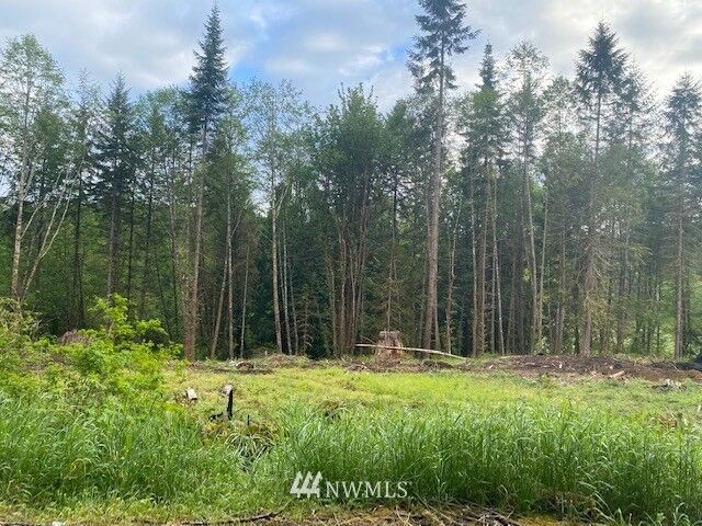 Property Photo: 0 B Ramsaur Road WA 98531