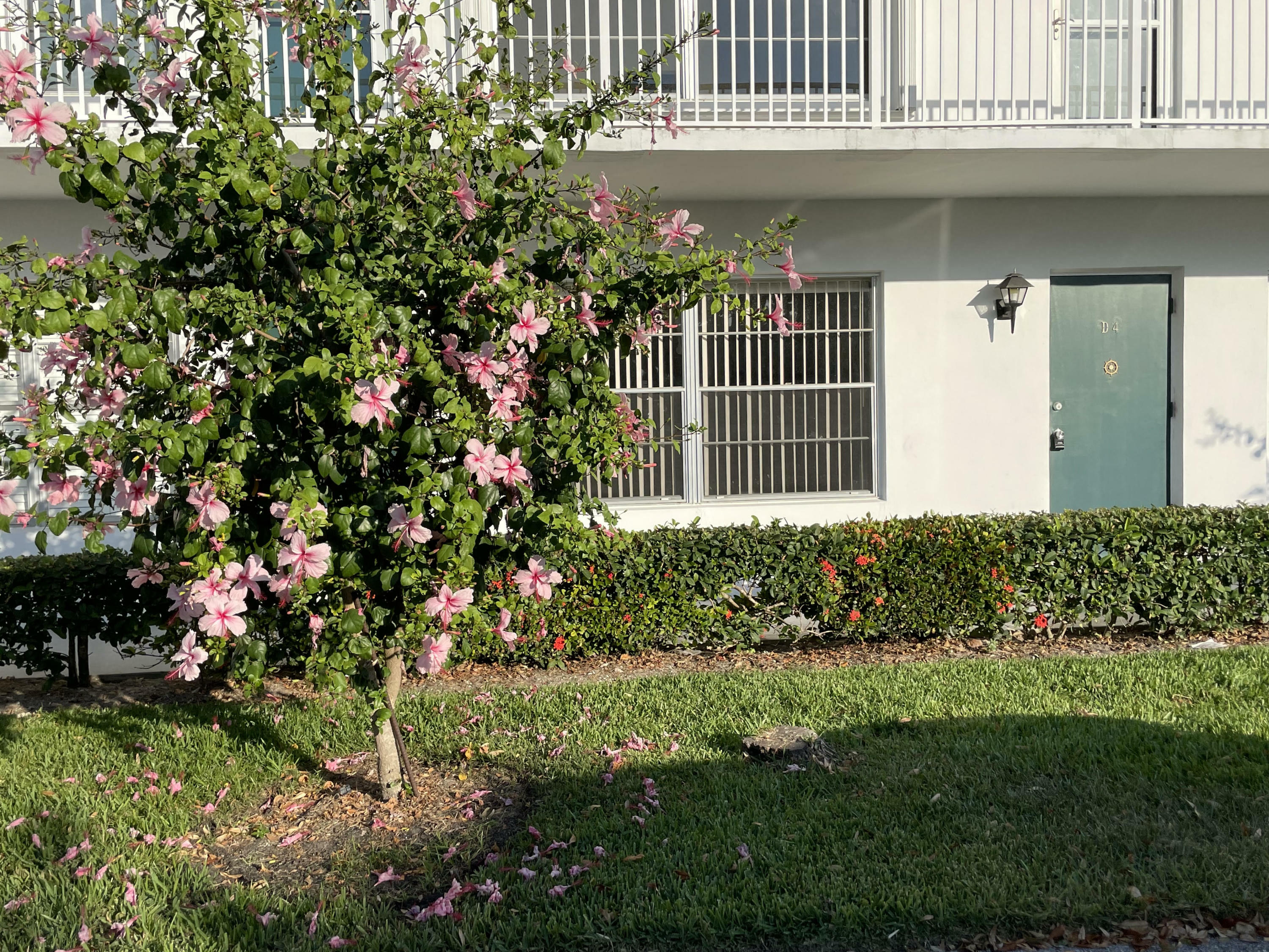 Property Photo:  2800 Indian River Boulevard D-4  FL 32960 