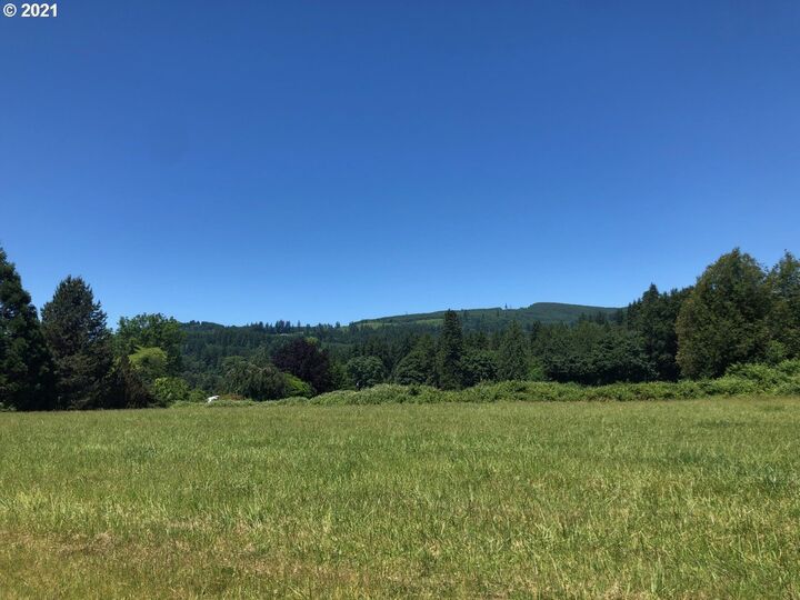 0 NW 432nd St  Woodland WA 98674 photo