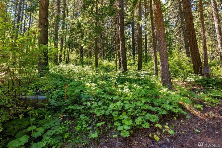 Property Photo:  0 Klancie Lane  WA 98922 