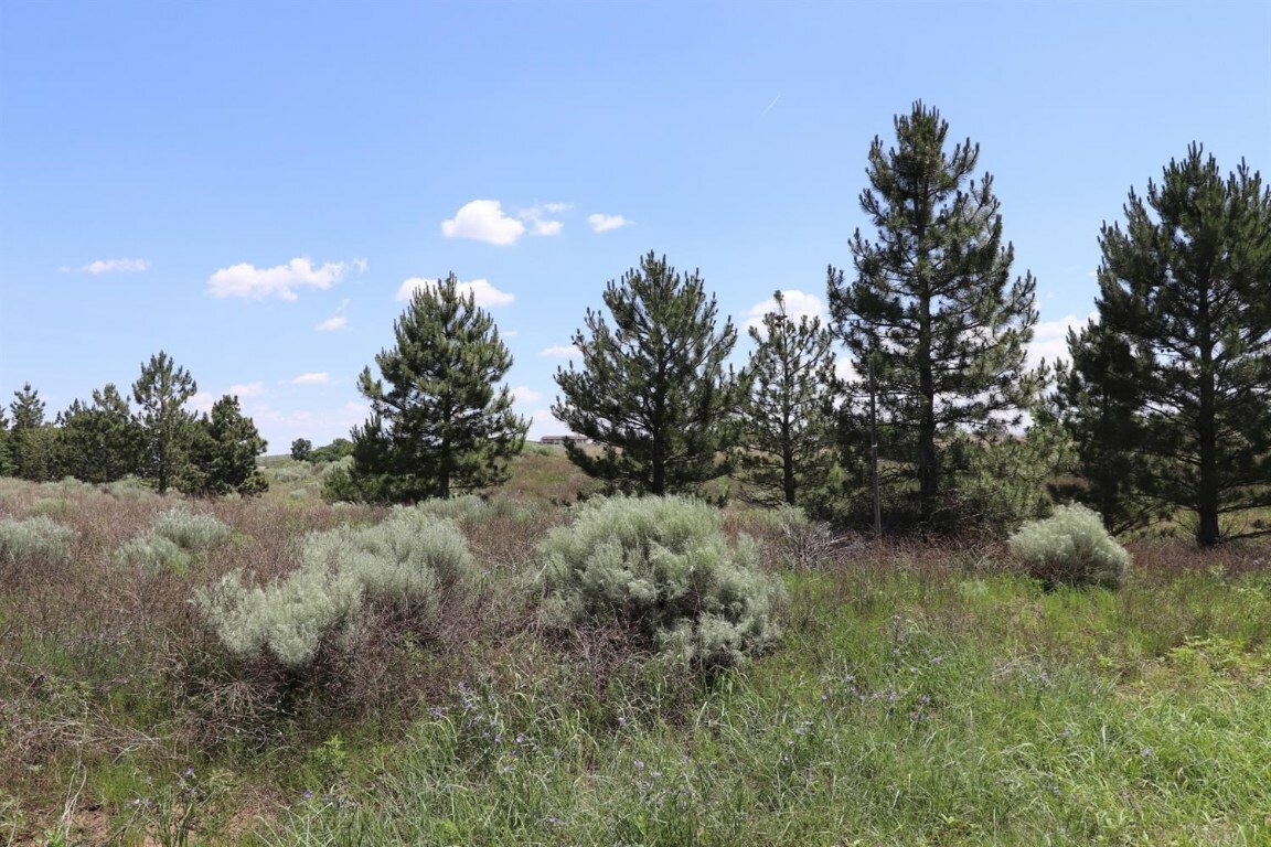 Property Photo:  800 South Yucca  KS 67846 