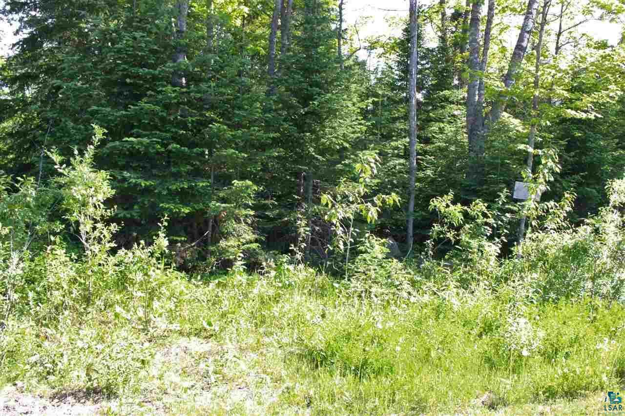 Property Photo:  Xxxx Twin Pines St Lots 19 &Amp 20  MN 55811 