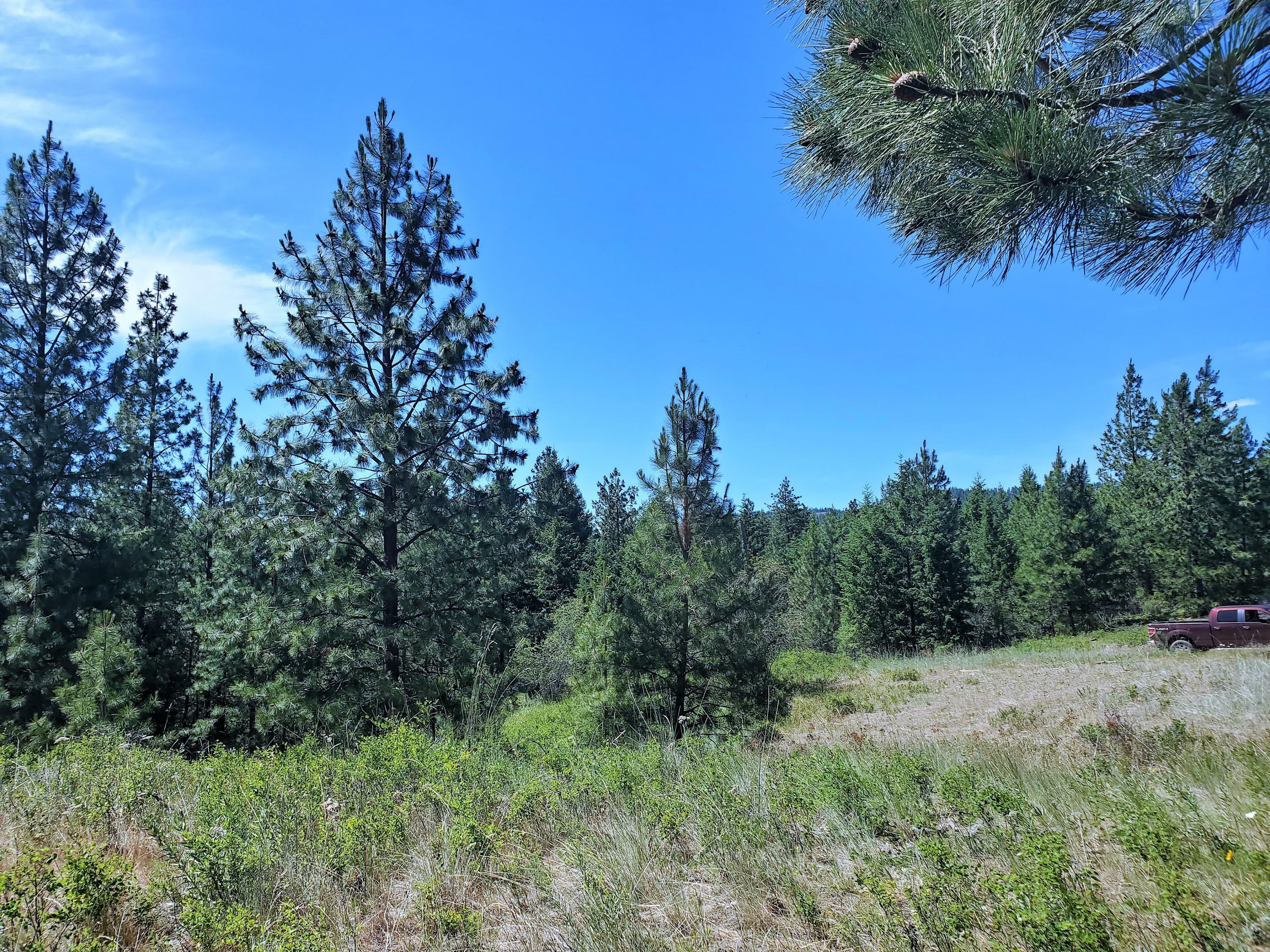 Property Photo:  4571 Lessig Rd  WA 99137 