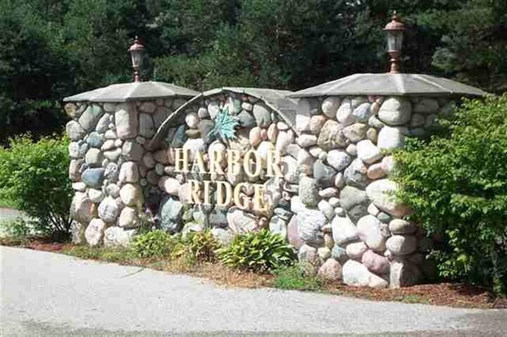 3431 Needles  Harbor Springs MI 49720 photo
