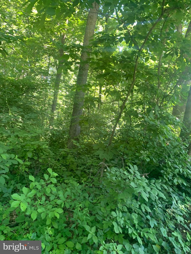 Property Photo: Oriole Way VA 22630