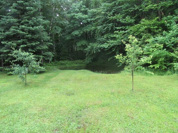 Property Photo:  166 Keyes Hollow Road  NH 03605-3020 