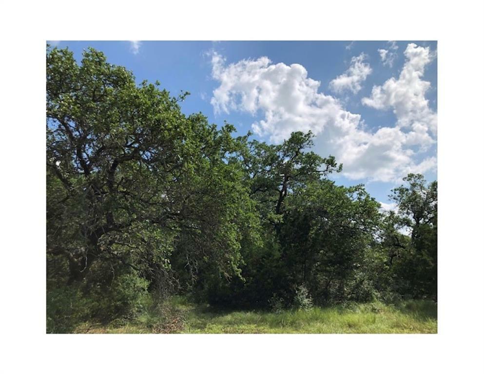 Property Photo:  202 Shelf Rock Road  TX 78628 