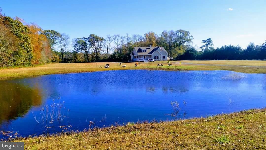 2648 Bird Hill Road  Girdletree MD 21829 photo
