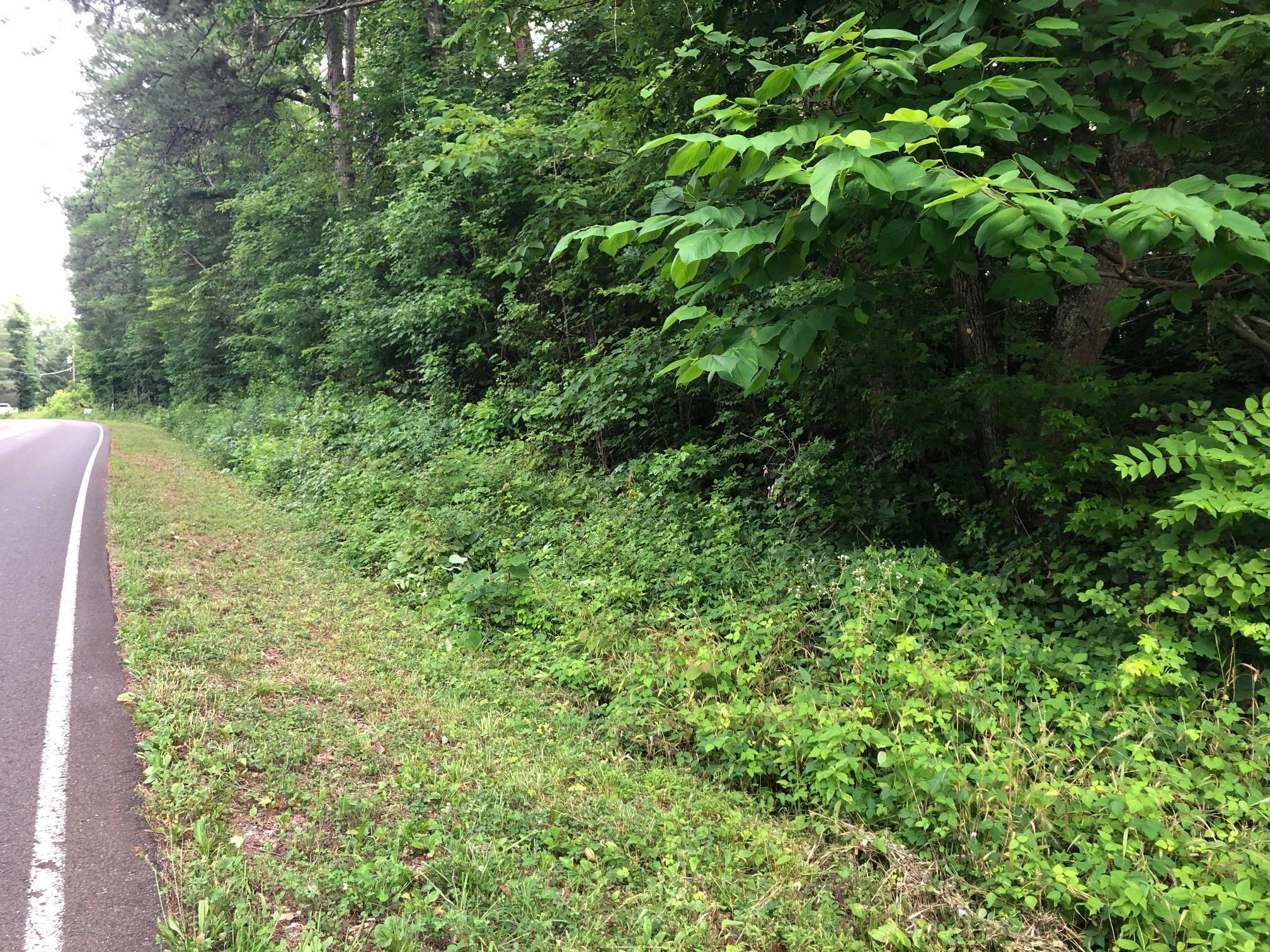 Property Photo:  Lot 3 Co Rd 675  TN 37303 