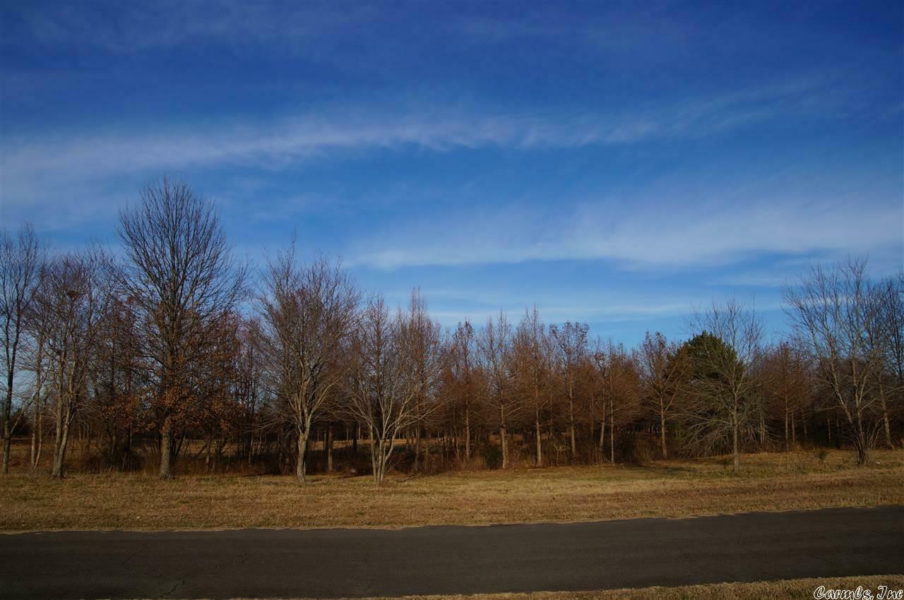 Property Photo:  14 Win Meadow Lane  AR 72058 