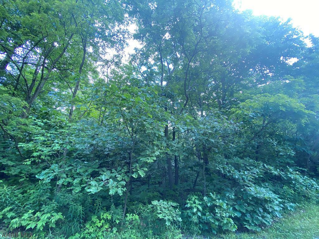 Property Photo:  Lot 38 Buck Run  PA 15554 