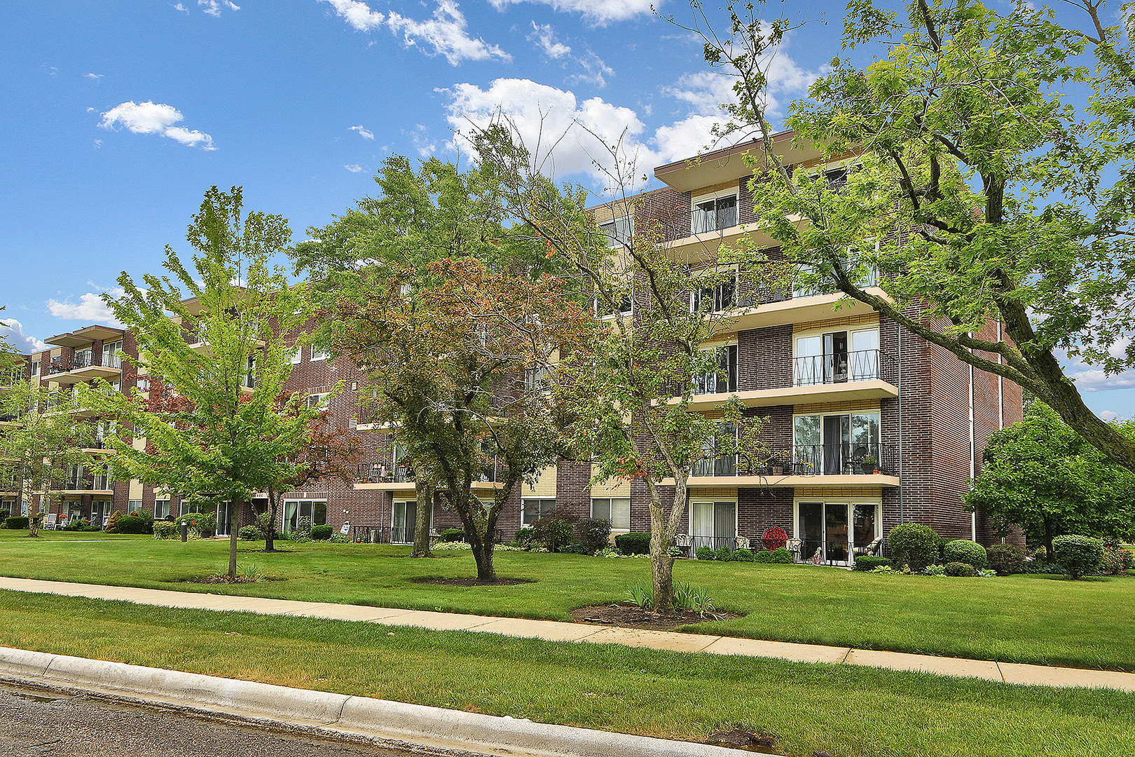 5300 Walnut Avenue 10E  Downers Grove IL 60515 photo
