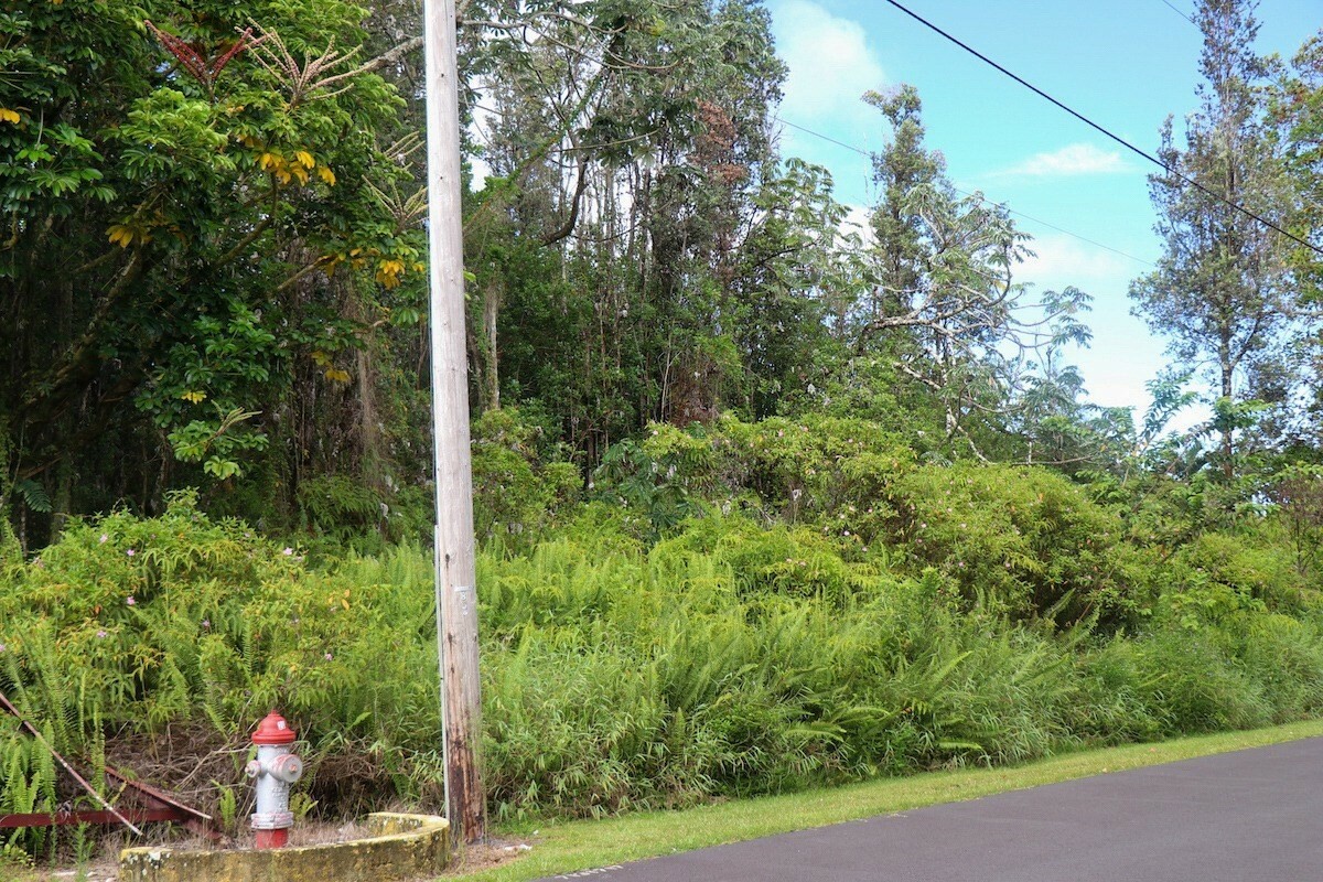 Property Photo:  S Kumu St  HI 96778 