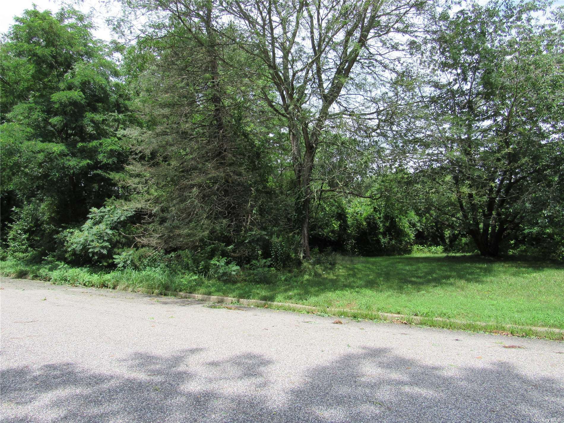 Property Photo:  88 Promenade Drive  NY 11901 