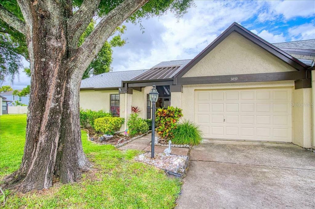 Property Photo: 3499 Cedar Lane FL 34684