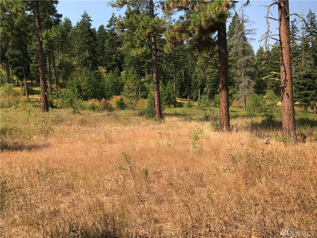 Property Photo:  Lot G Masterson Rd  WA 98922 