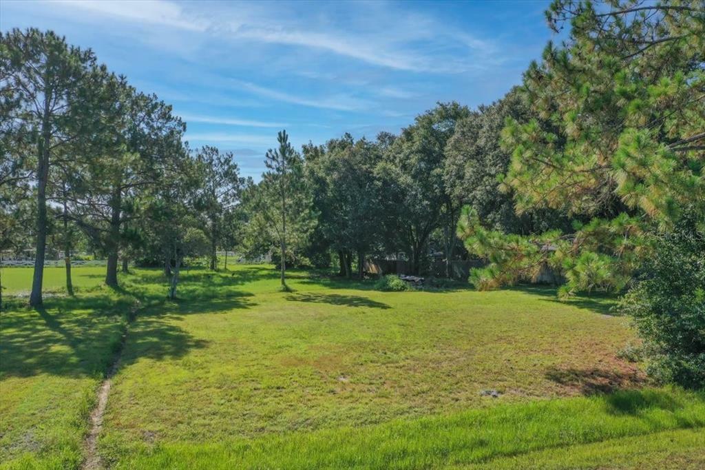 Property Photo:  Thunderhead Street  FL 33544 