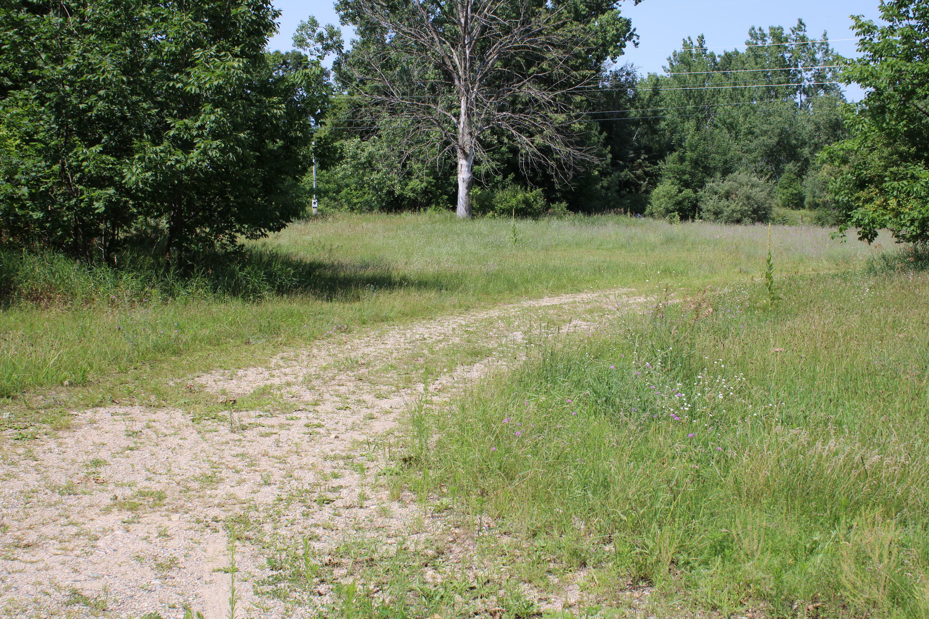 Property Photo:  6031 E Edgar Road  MI 48891 