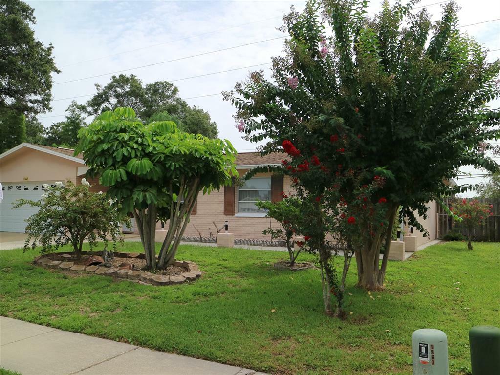 Property Photo:  1863 Albright Drive  FL 33765 