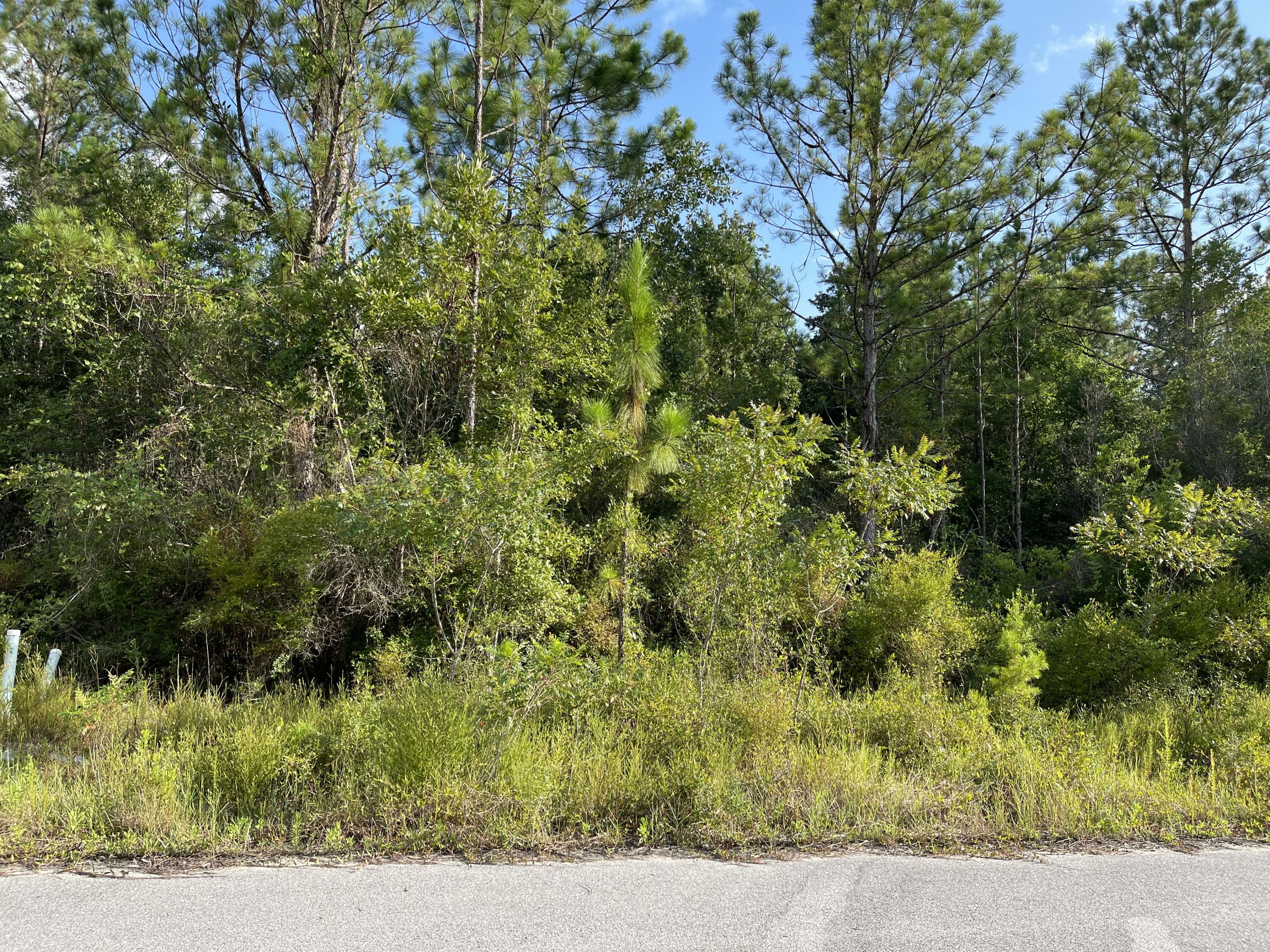 Property Photo:  Lot 5 Sandhill Court  FL 32439 