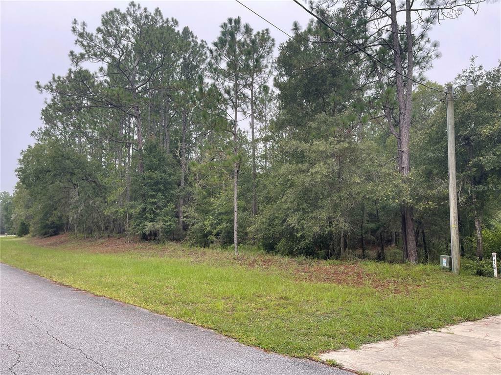 Property Photo:  SW 215th Court Road  FL 34431 