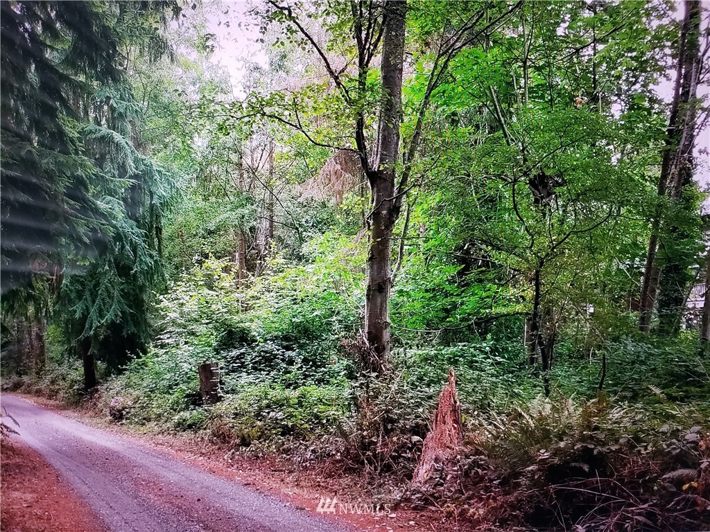 Property Photo: 317 Xx 51st Avenue SW WA 98023