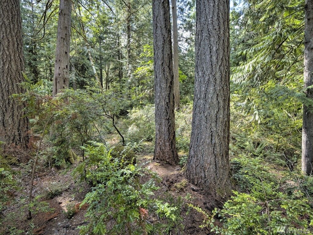 Property Photo: 684 E Portage Rd WA 98584