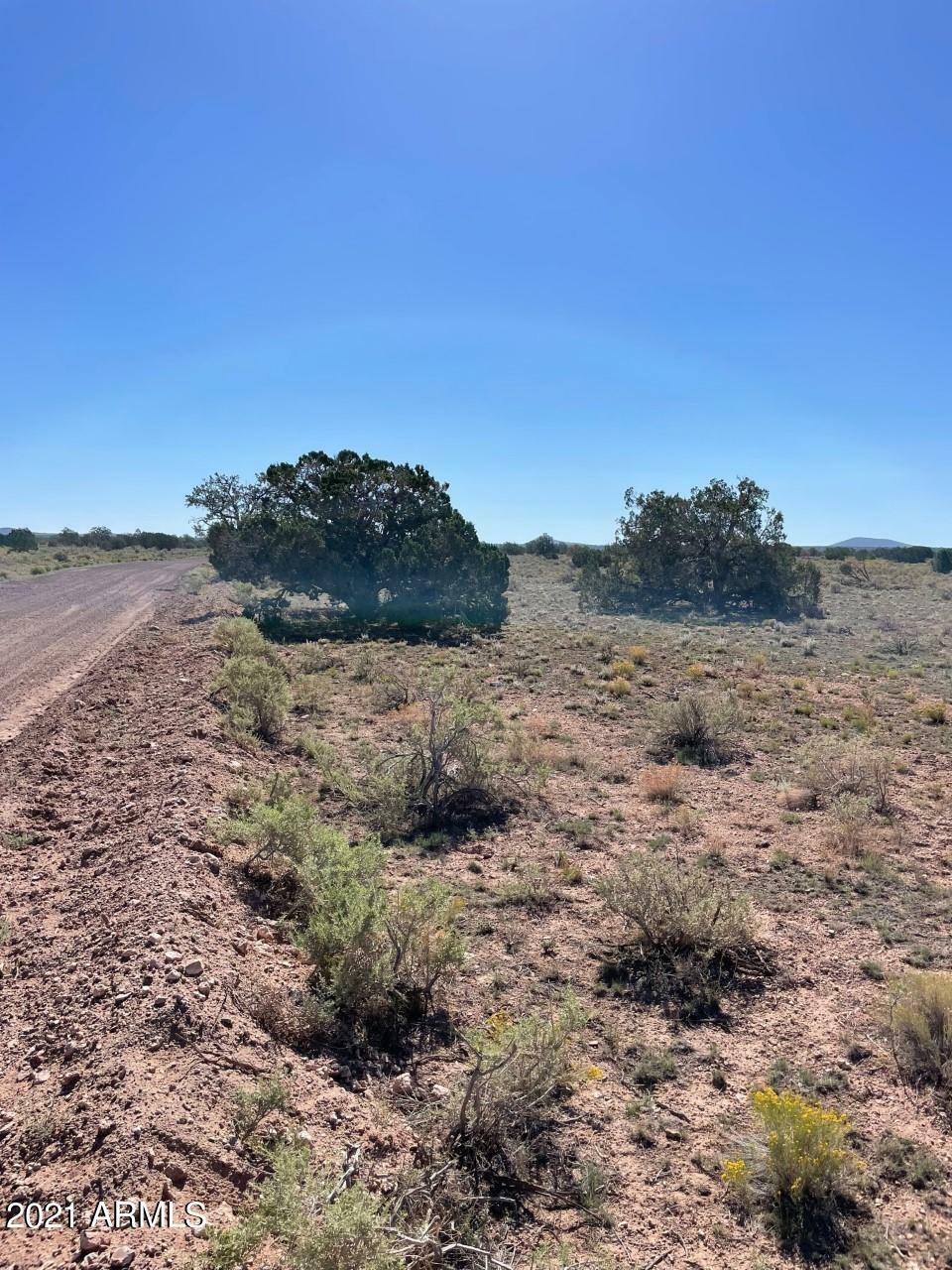 Property Photo:  4610 S Rim Ranch Road  AZ 86046 