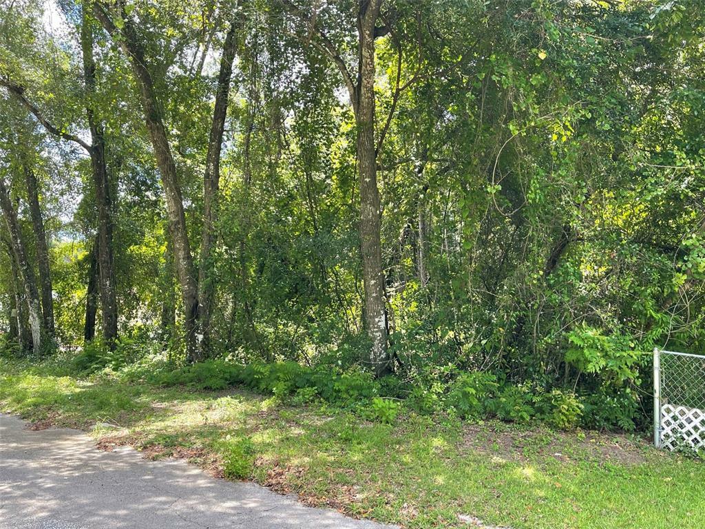 Property Photo:  3474 S Dalton Terrace  FL 34452 