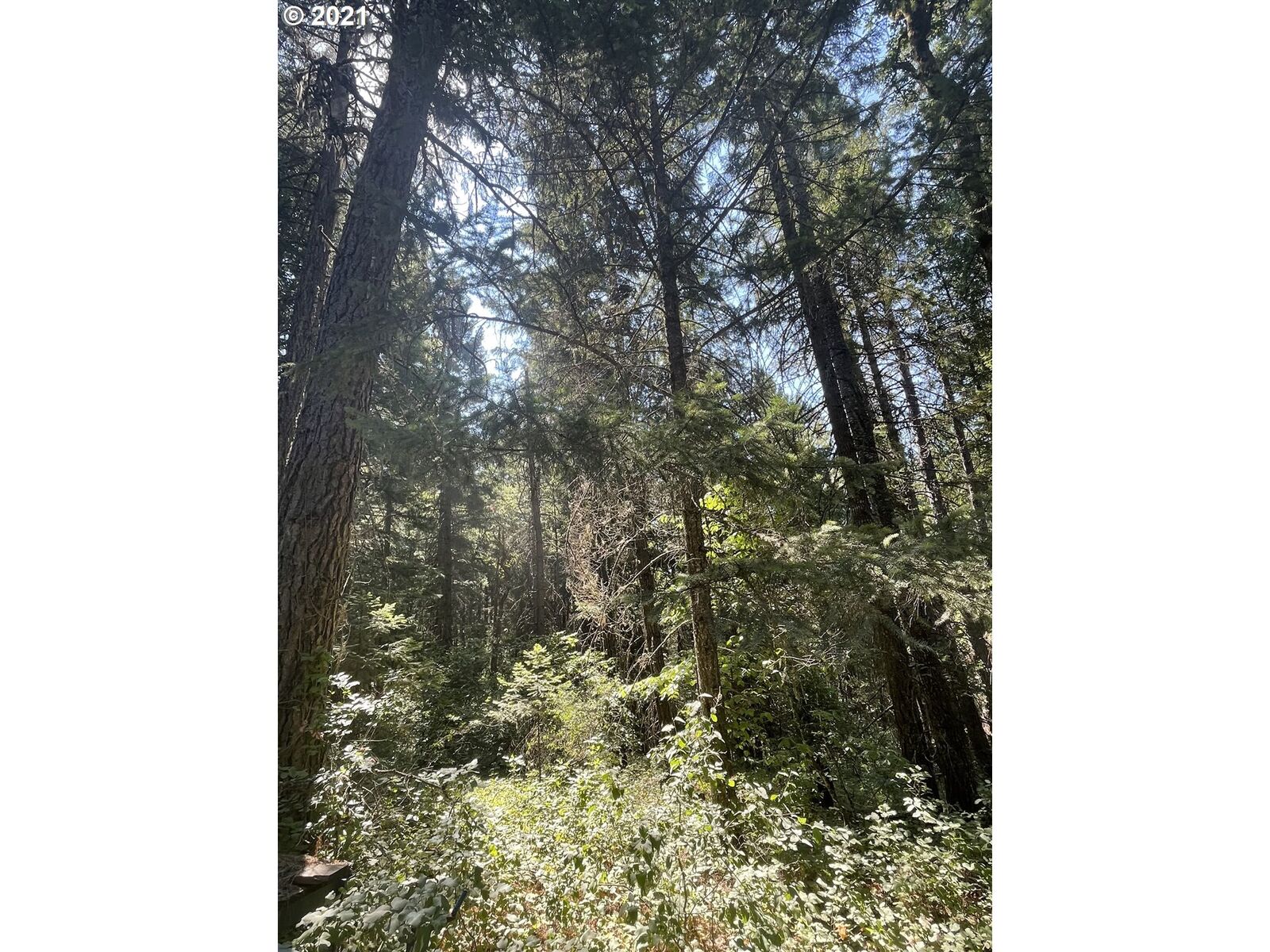 Property Photo: Lyons Rd WA 98623