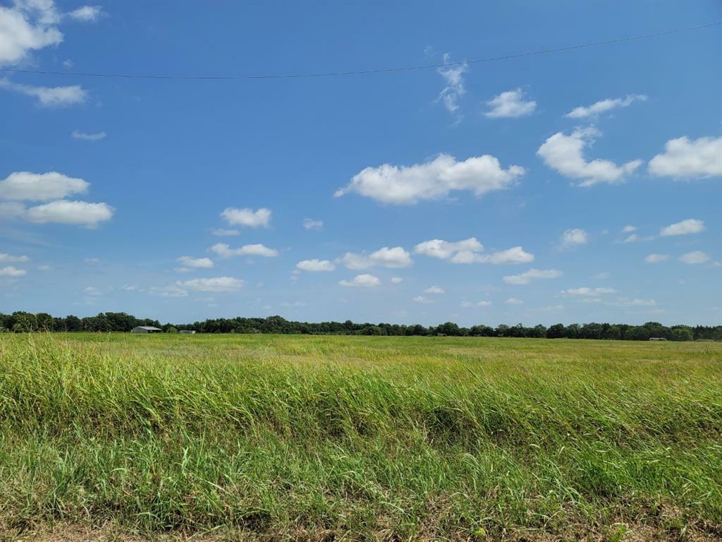 Property Photo:  Lot 3 County Rd 1245  TX 75479 