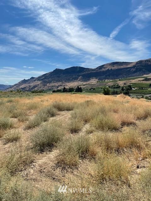 Property Photo: 139 John Truett Drive WA 98828