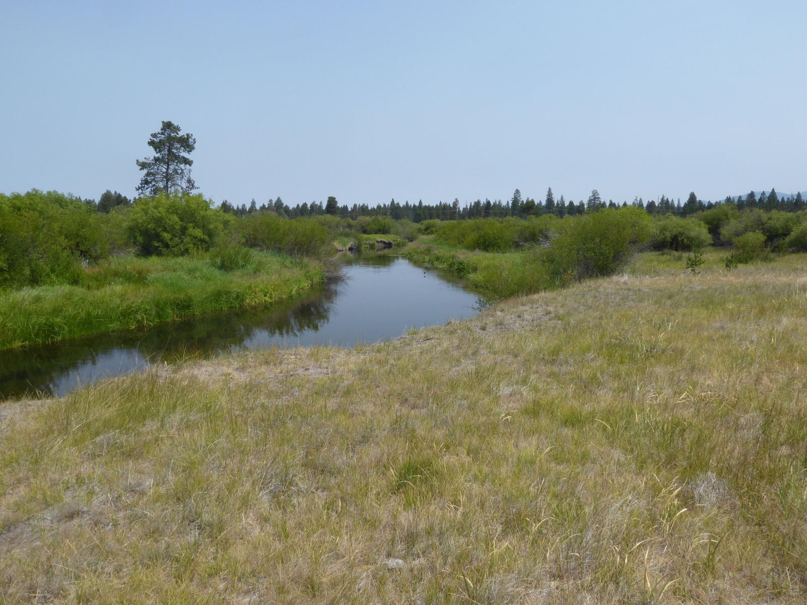 Property Photo:  53412 Bridge Drive  OR 97739 