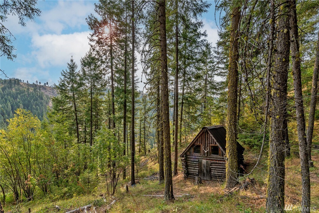 Property Photo:  8816 Derby Canyon Rd  WA 98847 