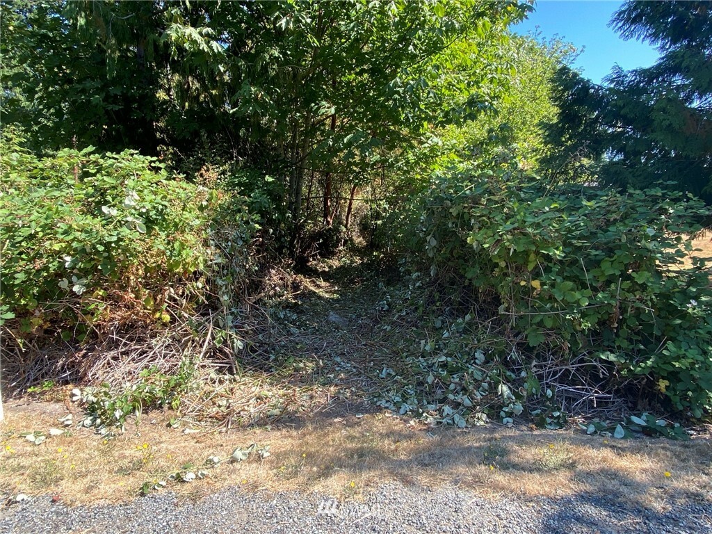 Property Photo:  2 Lots Alaska Avenue E  WA 98366 