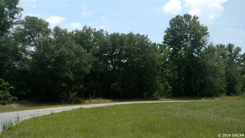 Property Photo:  Lot 14 NE 48 Court  FL 32643 