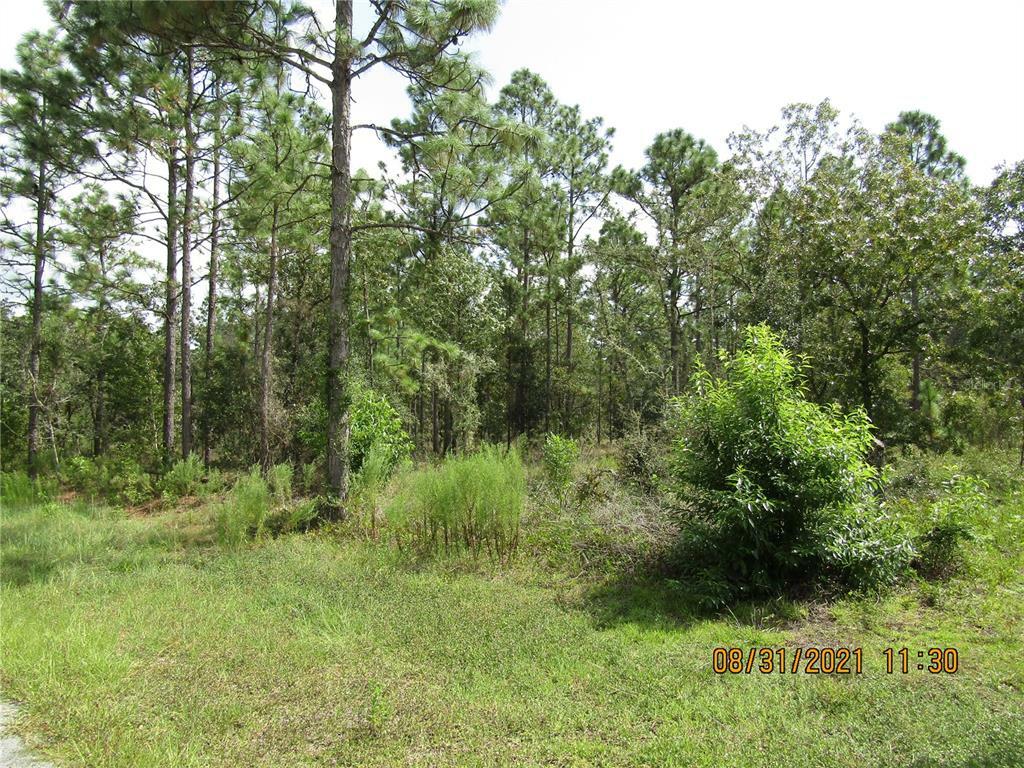 Property Photo:  Crocus Lane  FL 34431 