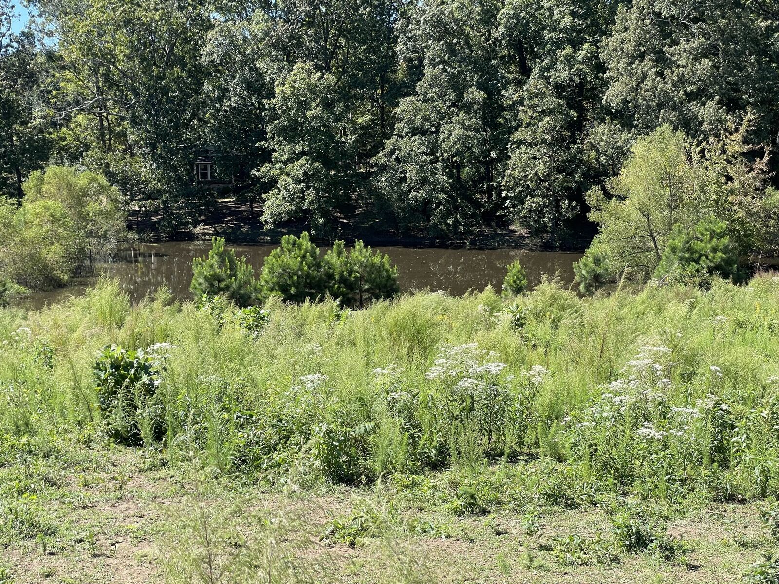 Property Photo: 3 Copperas Branch Rd TN 38468