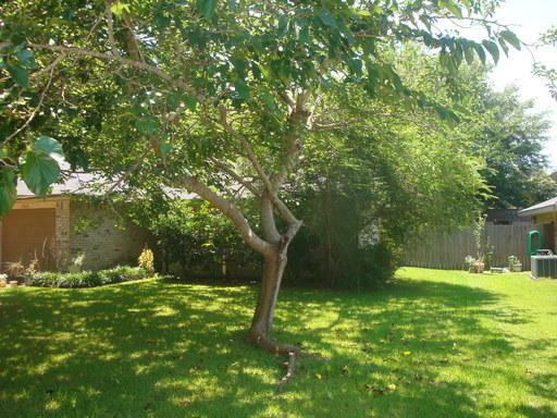 Property Photo:  7203 Virginia  LA 70659 