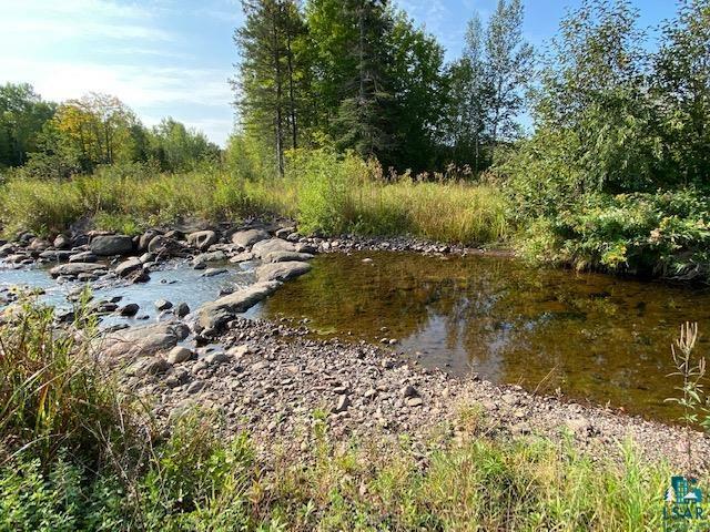 Property Photo:  Parcel B Big Rock Rd  MN 55616 