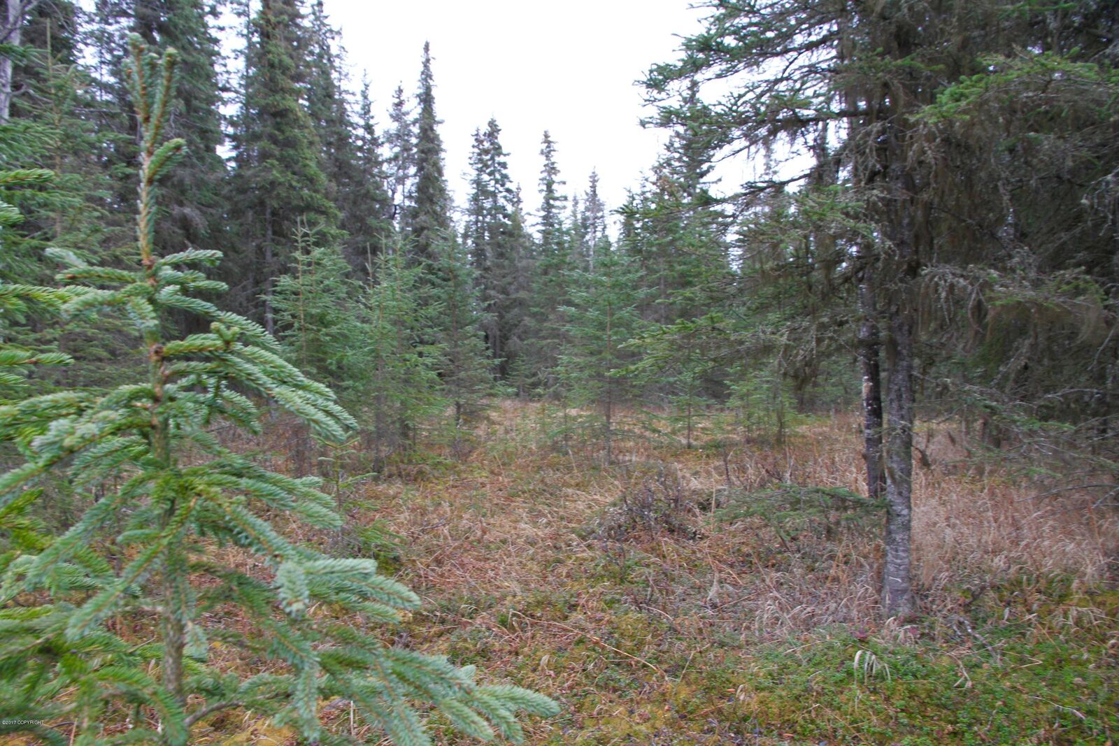 Property Photo: 47465 Augusta National Road AK 99611