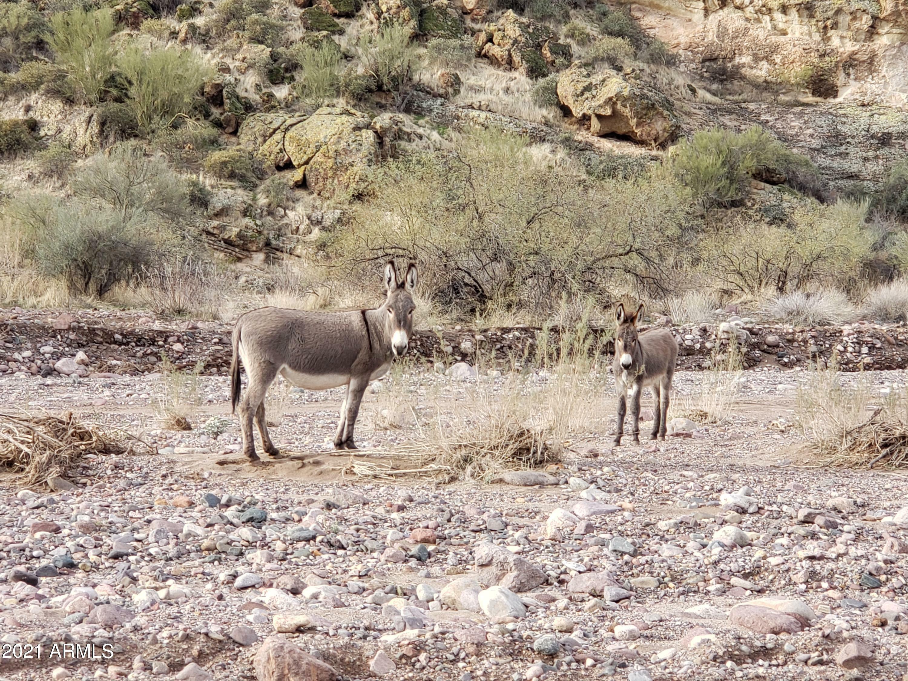 Property Photo:  00 Champie Road  AZ 85342 