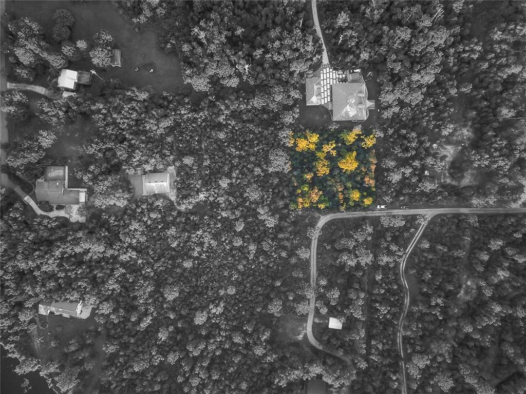 Property Photo: Chuluota FL 32766