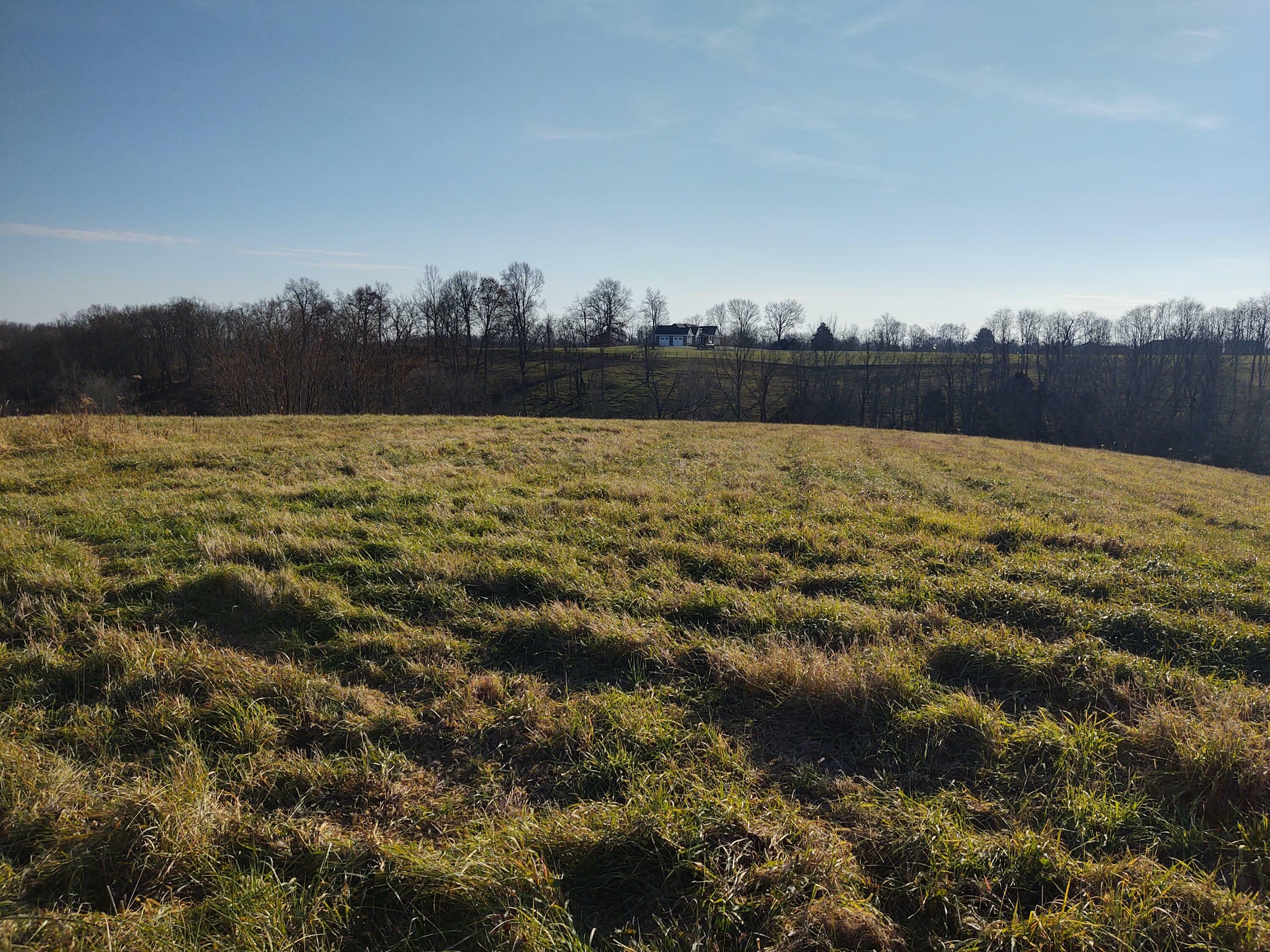 Lot 6 Hickory Hill Court  Foster KY 41043 photo