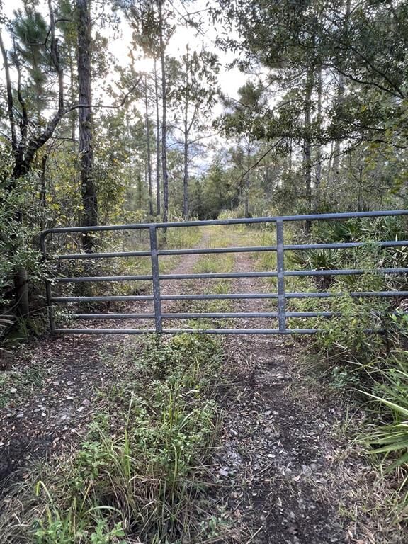 Property Photo:  0 Doherty Road  FL 33898 