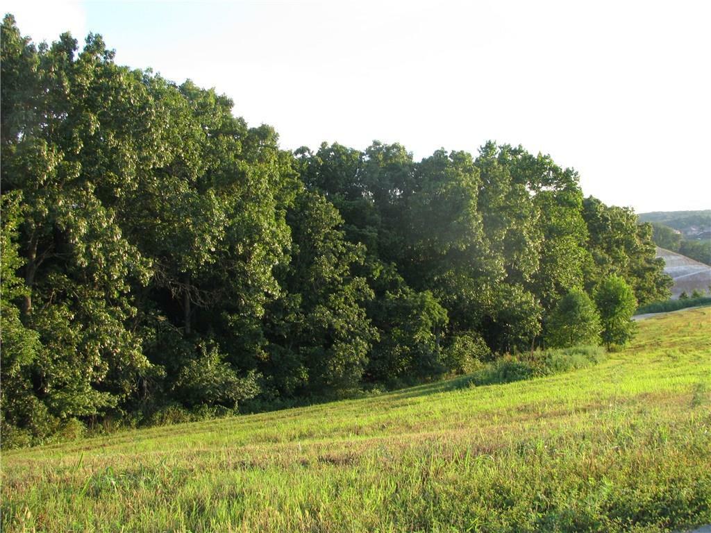 Property Photo: Lot 13 NW Serenity Cove AR 72712