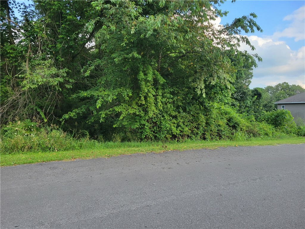 Property Photo:  Lot 19 Clevelys Lane  AR 72715 