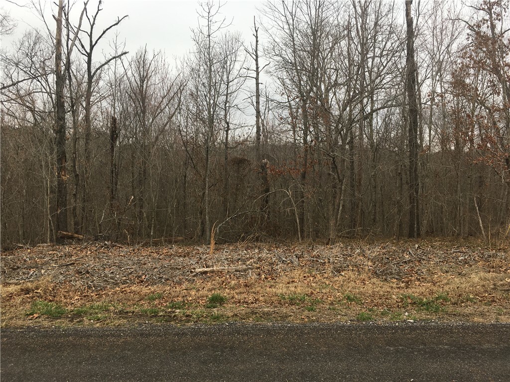 Property Photo:  Lot 5 Granton Lane  AR 72715 