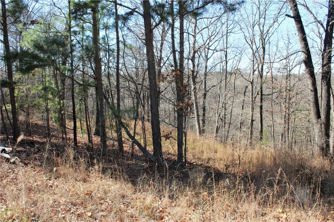 Property Photo:  781 County Road 1160  AR 72631 