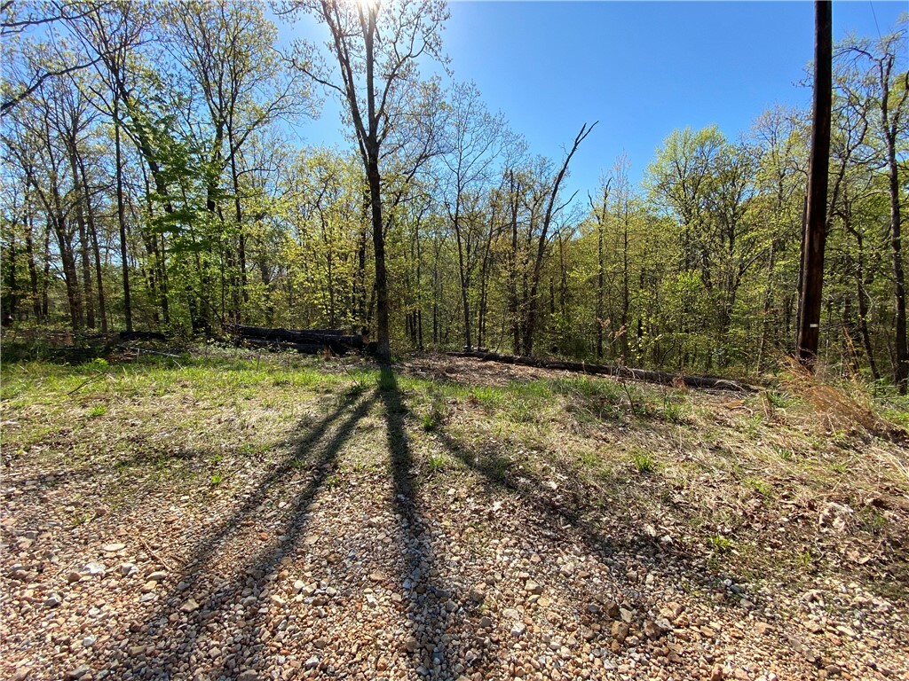 Property Photo: Lot 14 Bexhill Circle AR 72714